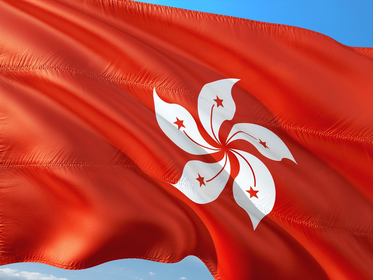 香港区旗 Hong Kong flag.
