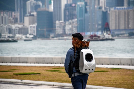 男子背着猫行走在城市水畔 Man walking with cat in backpack by water.