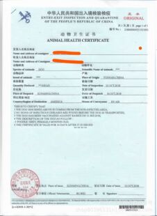 代办中国海关《动物卫生证书》服务图标(备选) Customs Animal Health Certificate icon alternative.