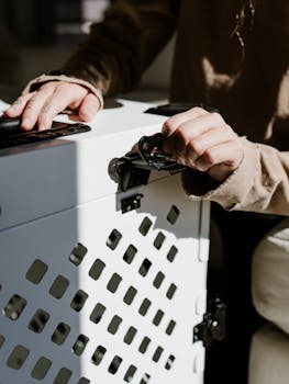 锁闭航空箱 Locking Pet Crate 锁闭高级宠物航空箱的双手特写 Hands locking premium pet crate.